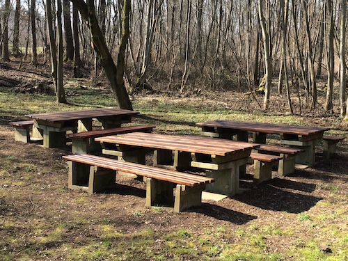grünes klassenzimmer 1